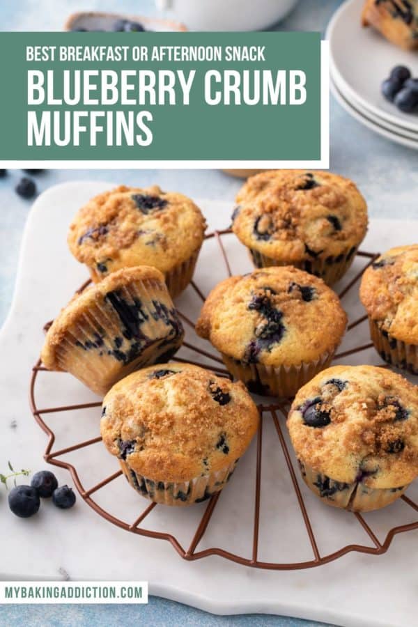 Blueberry Crumb Muffins - My Baking Addiction