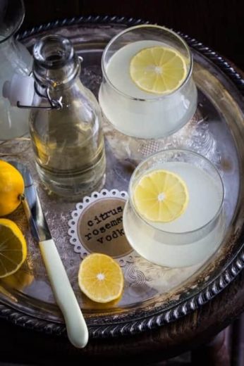 Citrus Rosemary Vodka Spritzer | My Baking Addiction