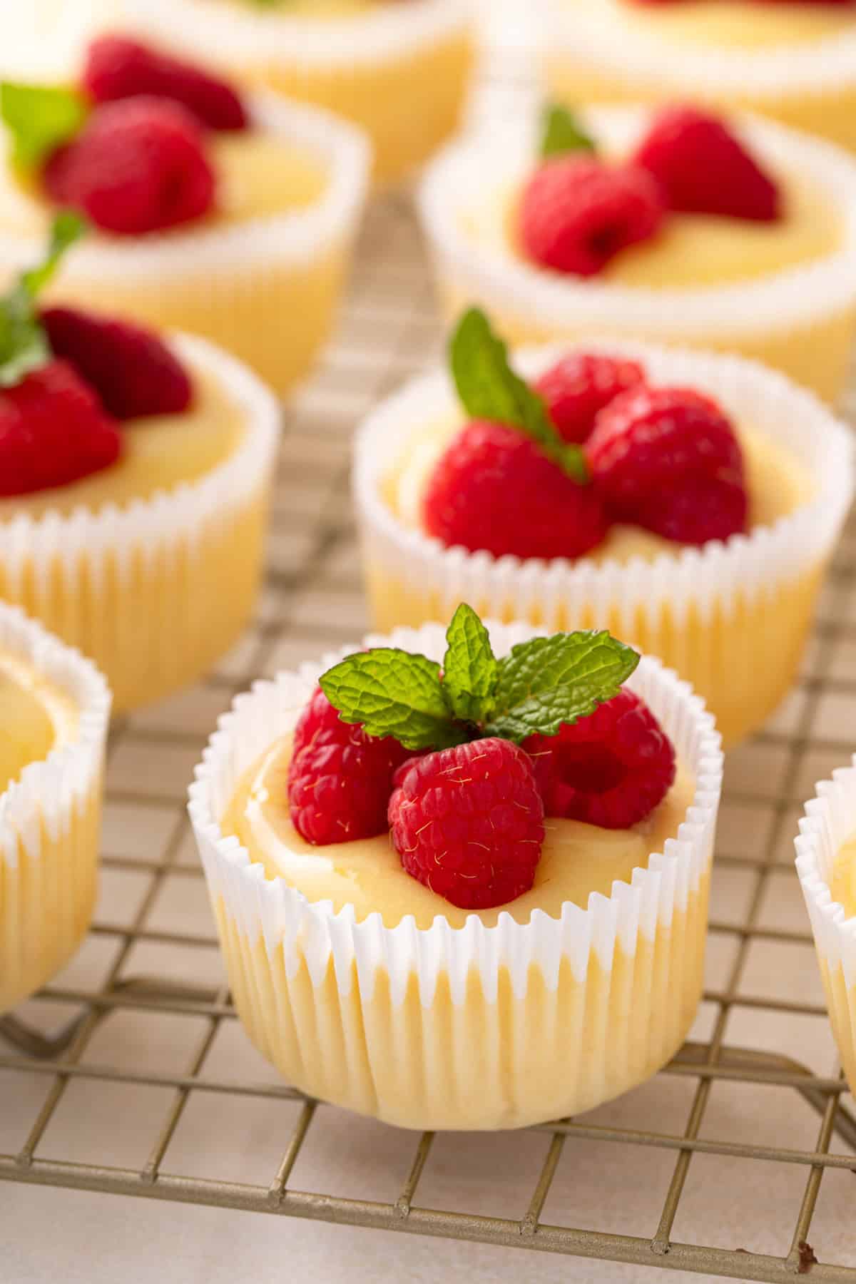 Mini lemon cheesecakes topped with lemon curd and fresh raspberries on a wire rack.