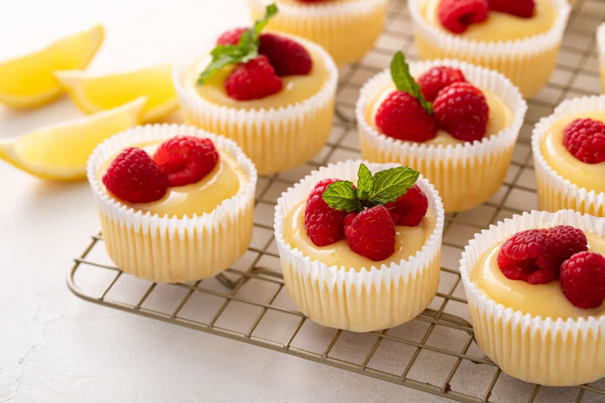 Mini lemon cheesecakes lined up on a wire cooling rack.