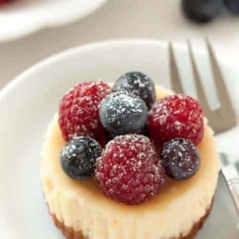 Gluten-Free Mini Cheesecakes | Addiction Baking My