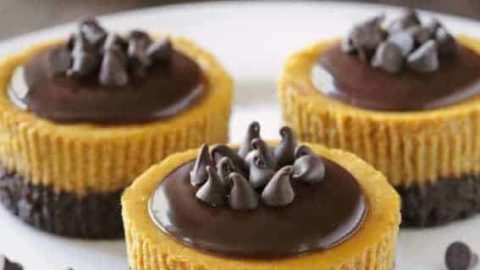 https://www.mybakingaddiction.com/wp-content/uploads/2015/11/gluten-free-mini-pumpkin-cheesecakes-1-480x270.jpg