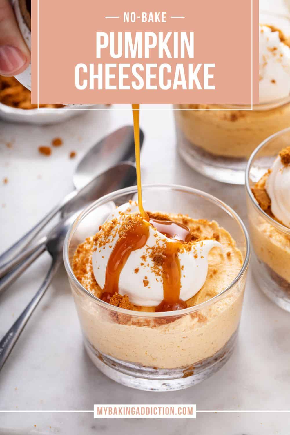 No Bake Pumpkin Cheesecake My Baking Addiction   No Bake Pumpkin Cheesecake 