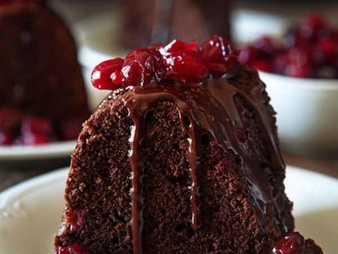 16+ Chocolate Cranberry Cake