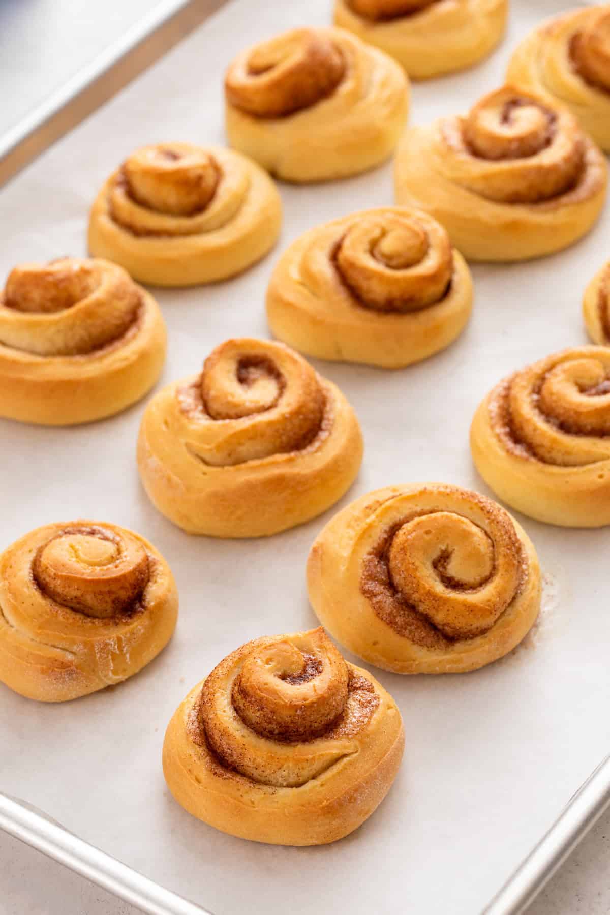 Baked mini cinnamon rolls on a sheet pan.