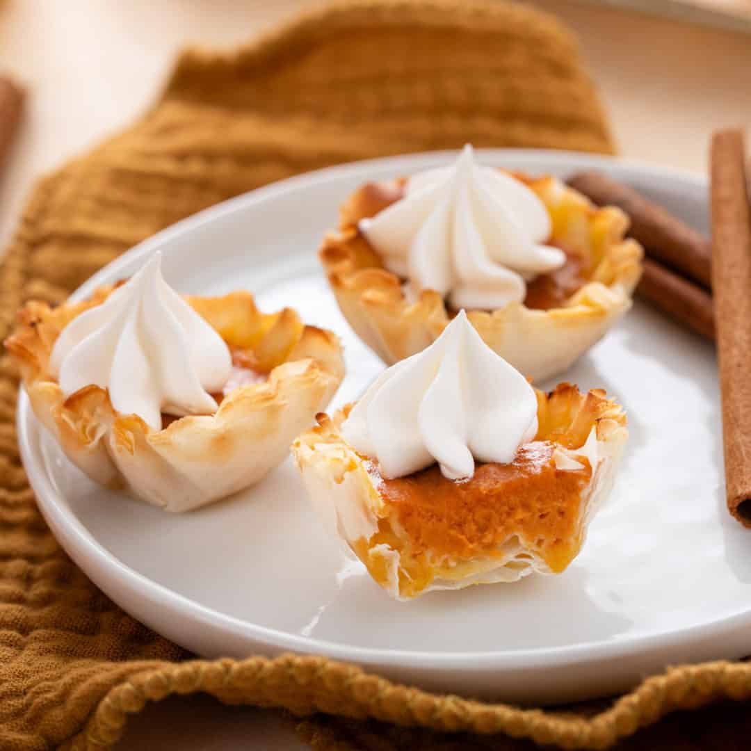 Mini Pumpkin Pies | My Baking Addiction