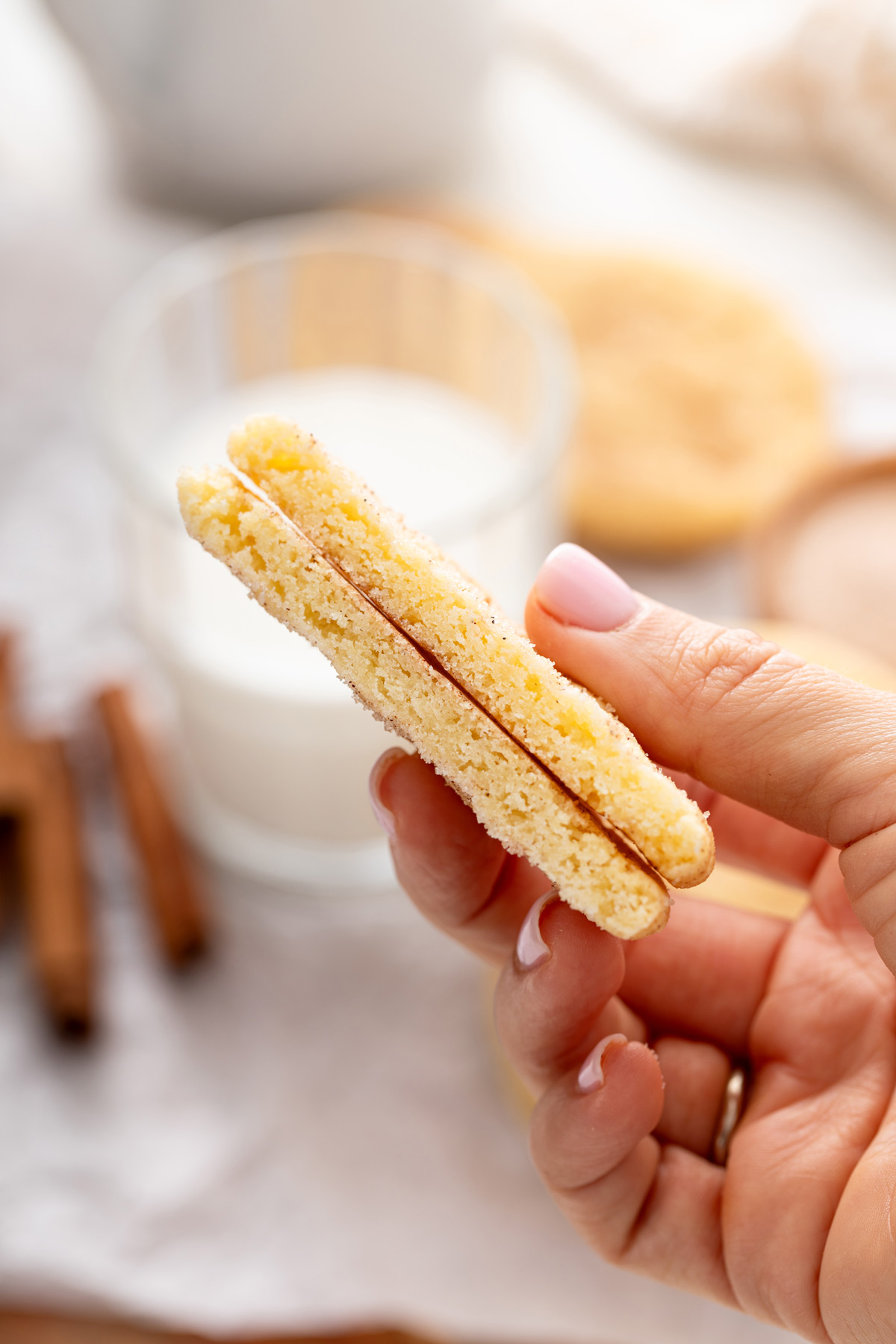 Hand holding up a halved snickerdoodle cookie.