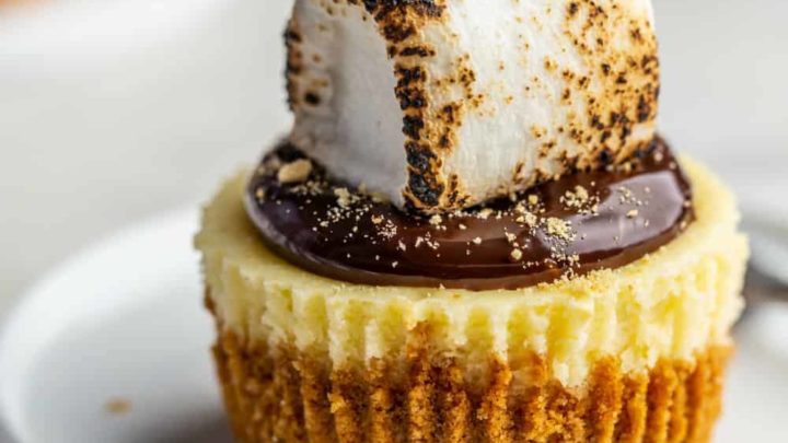 https://www.mybakingaddiction.com/wp-content/uploads/2019/08/Mini-Smores-Cheesecakes-8-of-13_resized-720x405.jpg