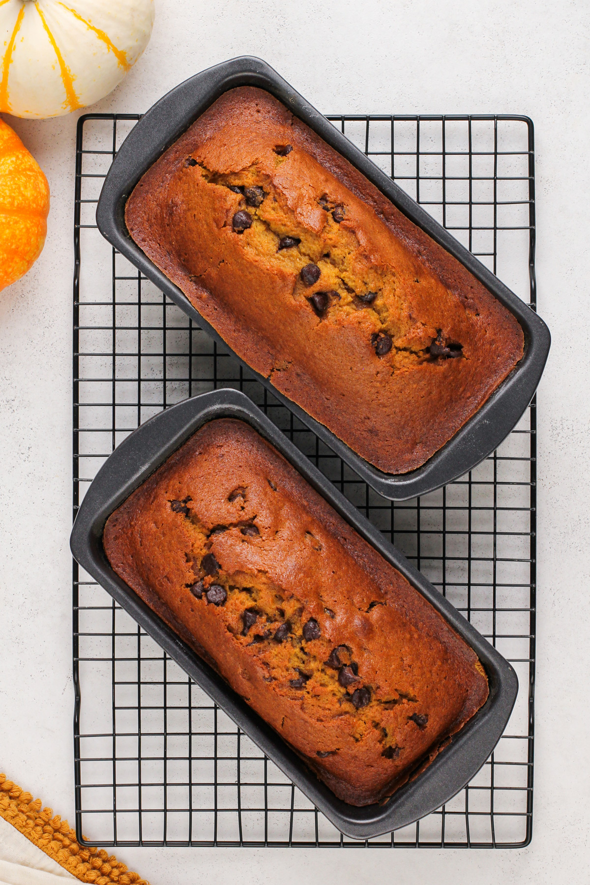 Two baked loaves of chocolate chip pumpkin bread cooling in loaf pans on a wire rack.