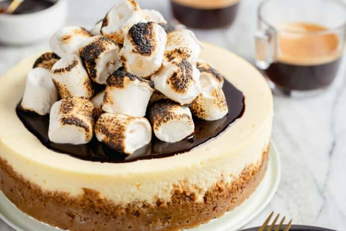 S'mores Cheesecake - My Baking Addiction