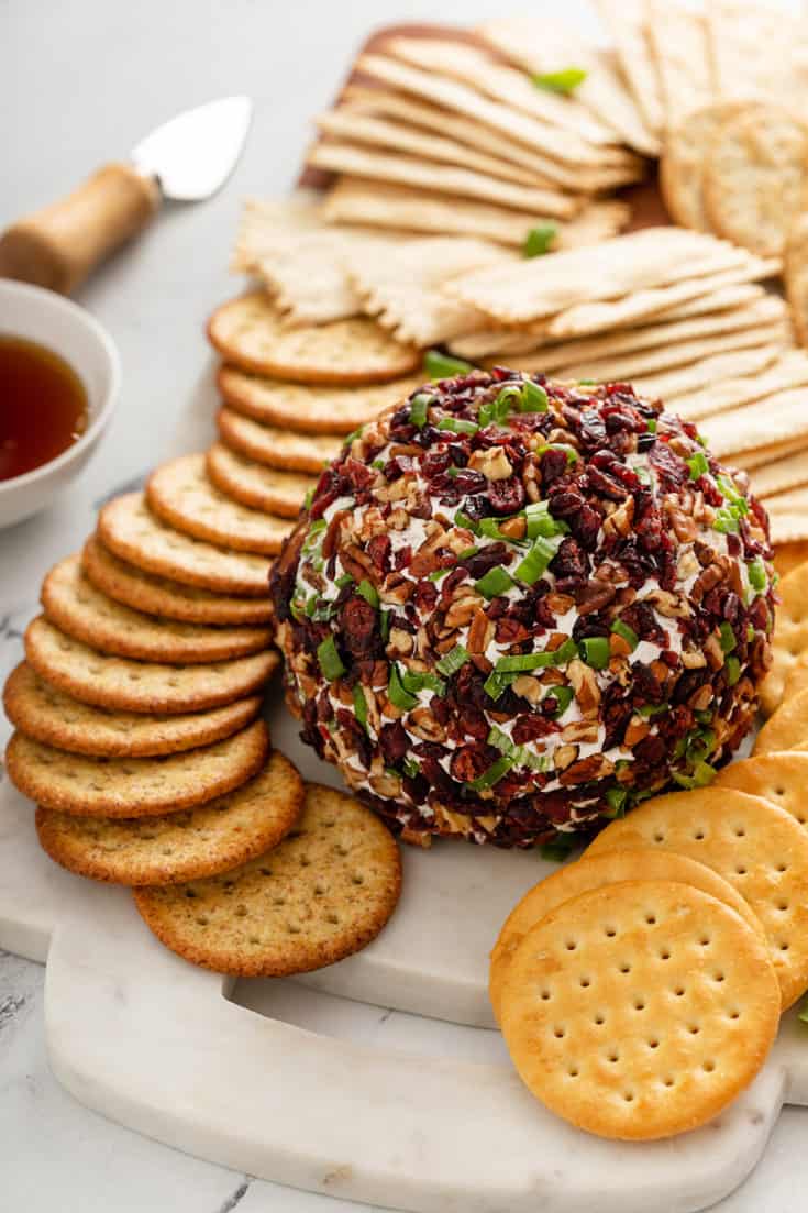 Cranberry Pecan Goat Cheese Ball - My Baking Addiction