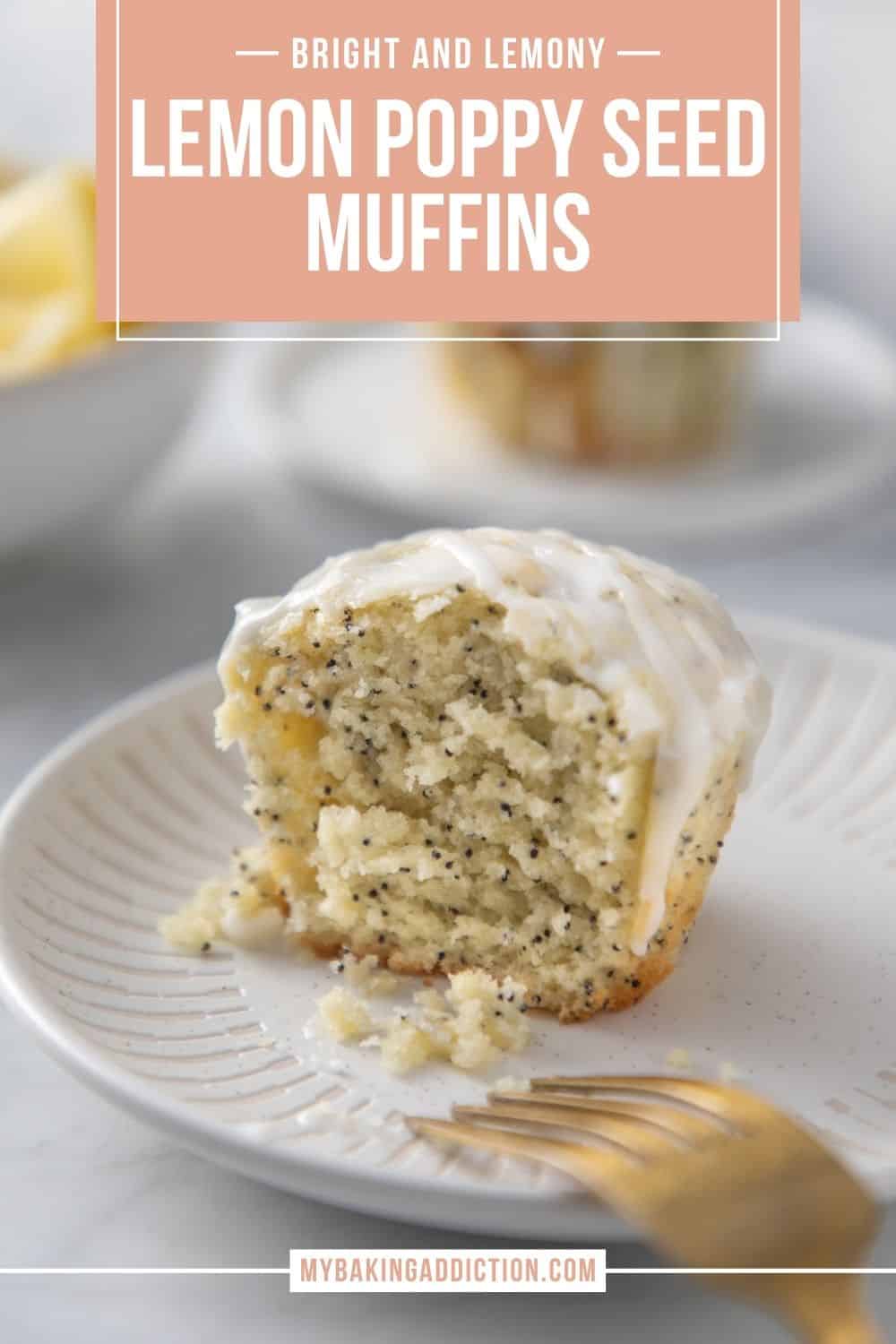 Lemon Poppy Seed Muffins My Baking Addiction   Lemon Poppy Seed Muffins 