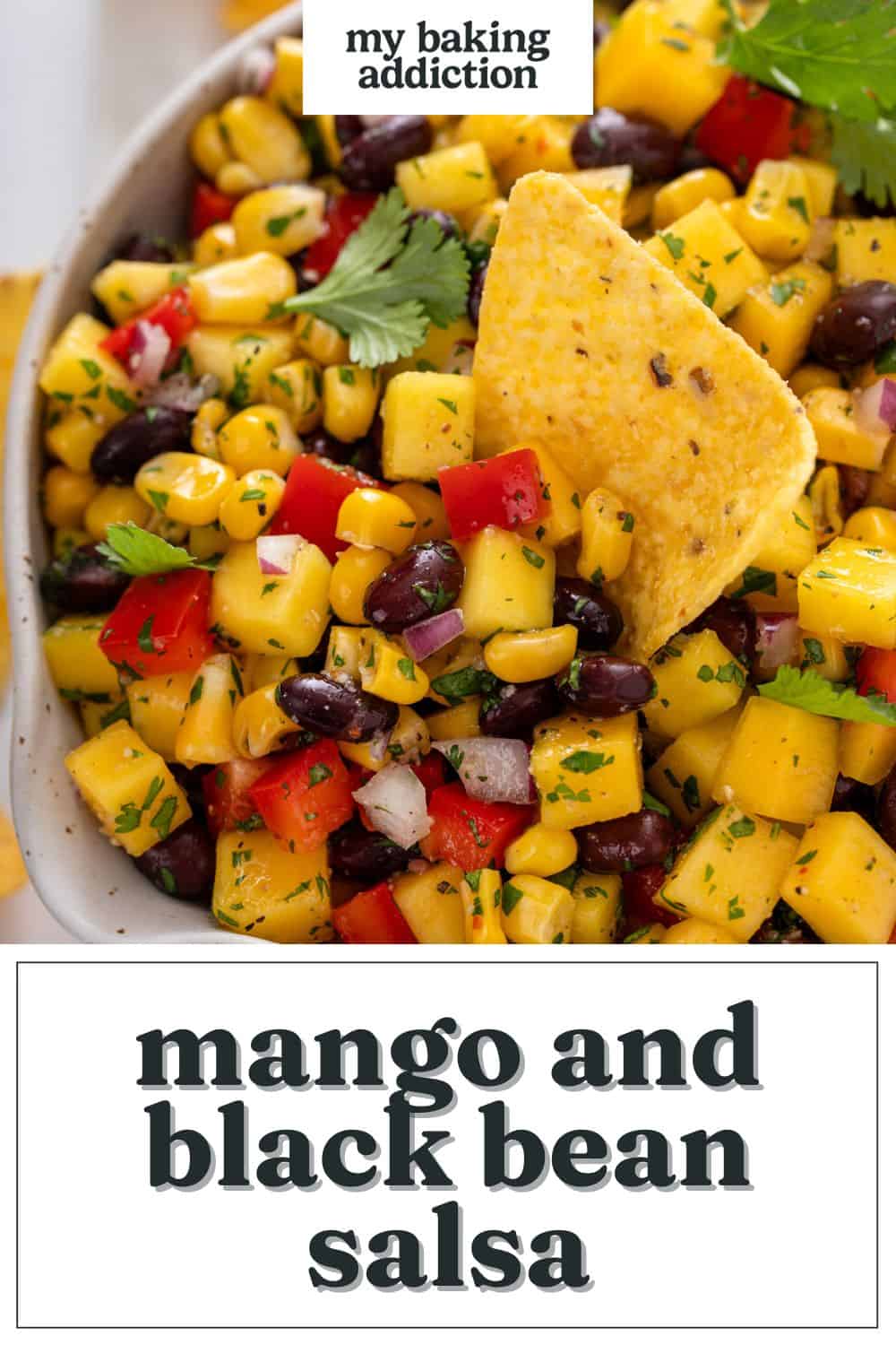 Mango And Black Bean Salsa My Baking Addiction