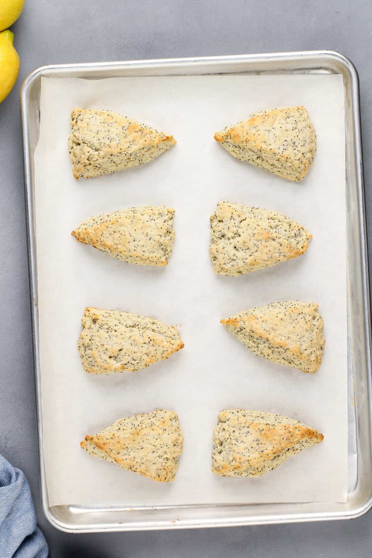 Baked lemon poppy seed scones cooling on a lined baking sheet.