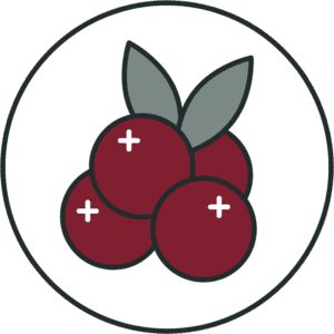 Illustration of cranberries.