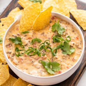 Tortilla chips in a bowl of rotel dip.