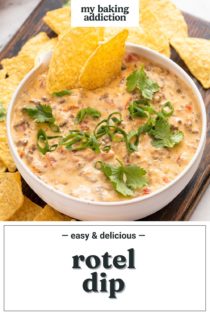 Tortilla chips in a bowl of rotel dip garnished with cilantro. Text overlay includes recipe name.