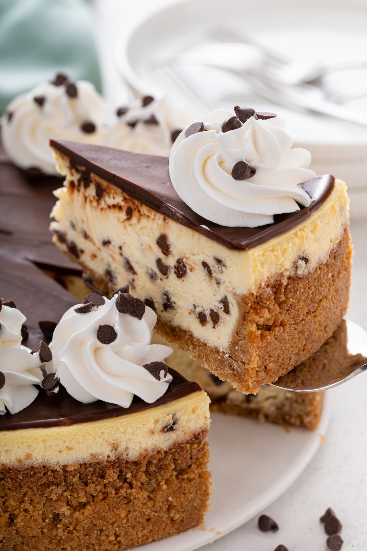 Cake server lifting up a slice of chocolate chip cheesecake.