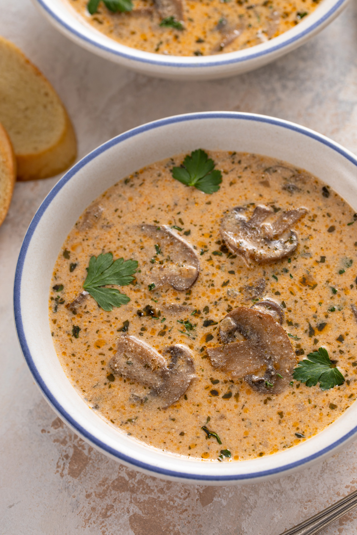 Close up of creamy mushroom soup in a white bowl.