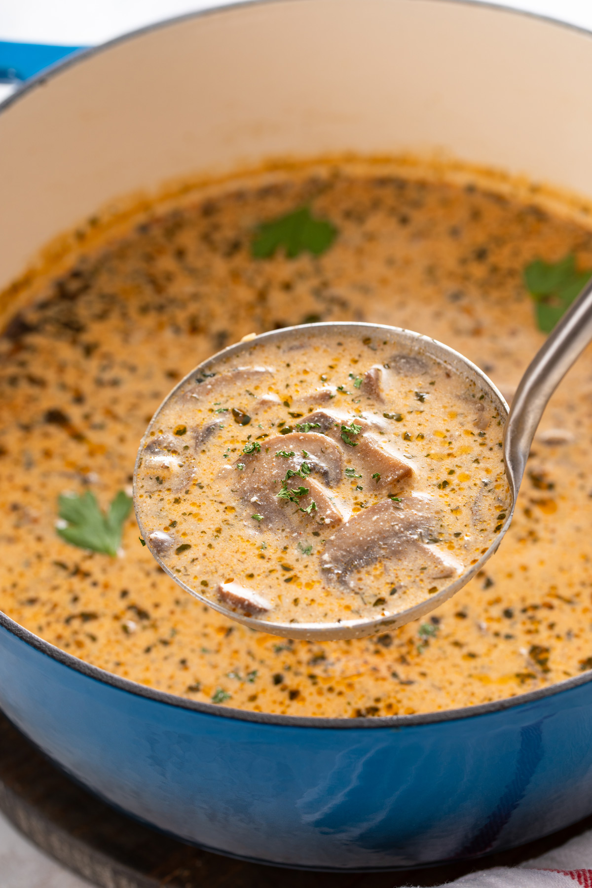 Ladle filled with creamy mushroom soup.